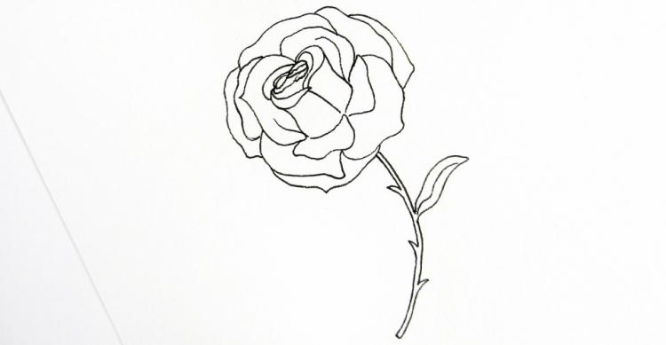 Рисуем розу ручками Sakura - шаг 8