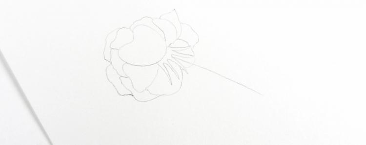 Рисуем винтажные розы чернилами - шаг 1