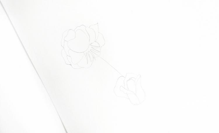 Рисуем винтажные розы чернилами - шаг 2