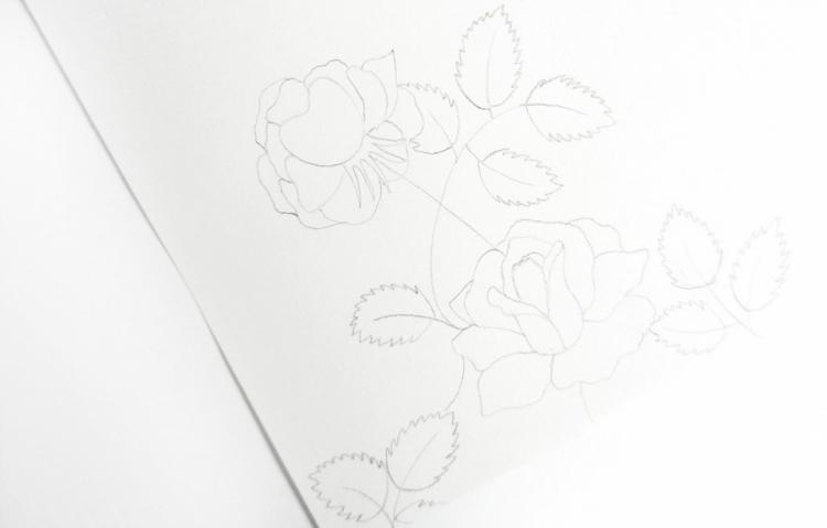 Рисуем винтажные розы чернилами - шаг 4