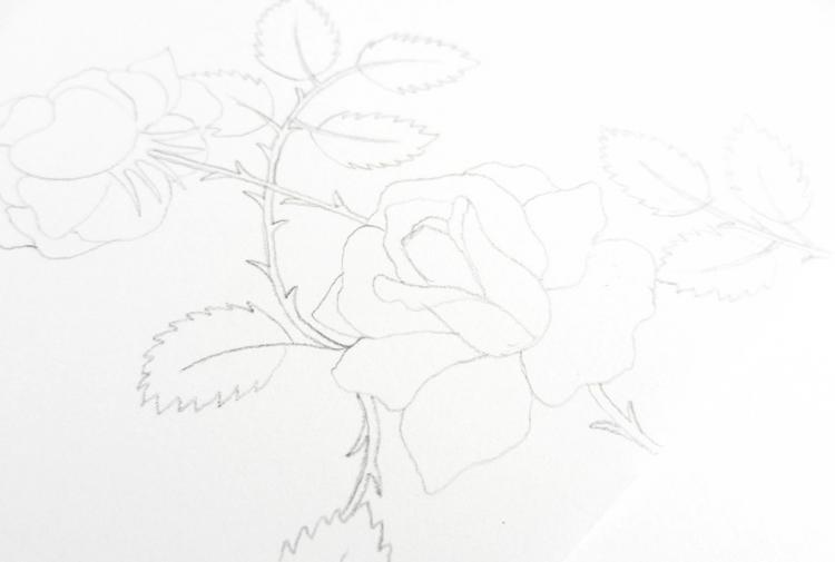 Рисуем винтажные розы чернилами - шаг 5