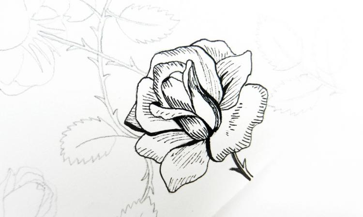Рисуем винтажные розы чернилами - шаг 10