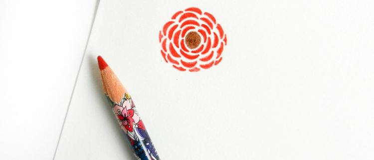 Рисуем розы карандашами - шаг 6