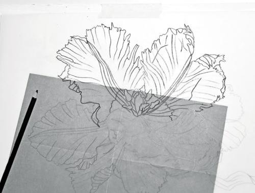 Рисуем тюльпан акварелью - шаг 2