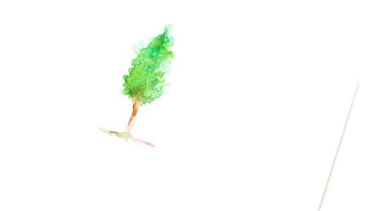 как нарисовать колонообразное дерево акварелью