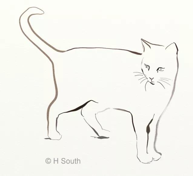 Рисуем кошку с помощью чернил