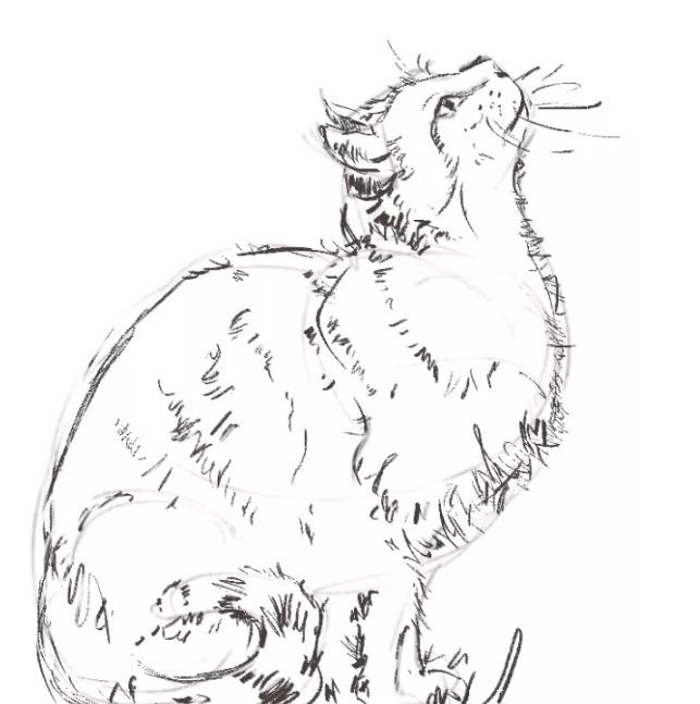 Рисуем кошку - шаг 2