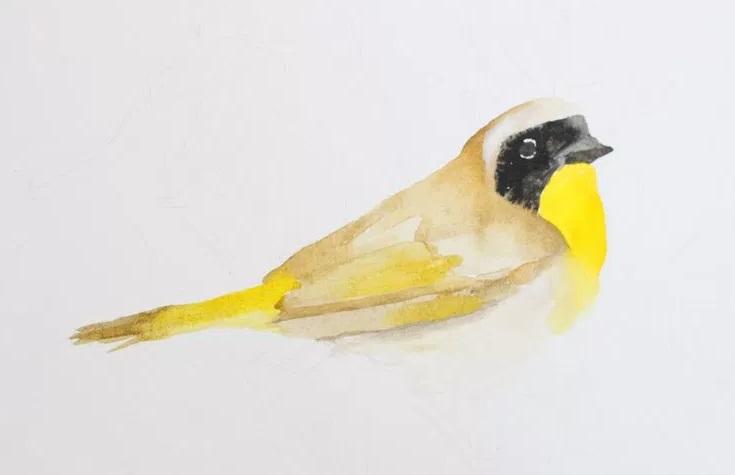 рисуем птицу акварелью