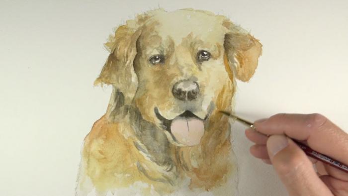 рисование собаки