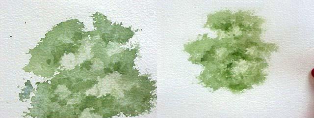 Рисуем ветвистые деревья акварелью с помощью бумажного полотенца - шаг 5