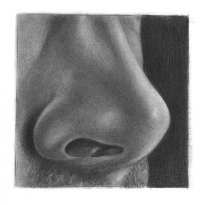 Рисуем нос в профиль - шаг 3