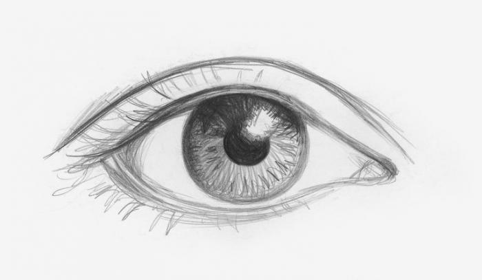 Рисуем глаза карандашом - шаг 2