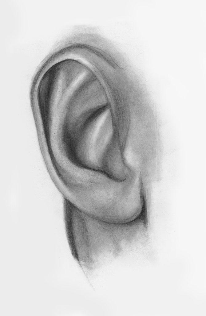 Рисуем ухо карандашом - шаг 3