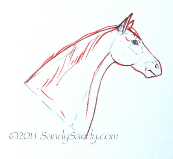 Рисуем голову лошади акварелью - шаг 3