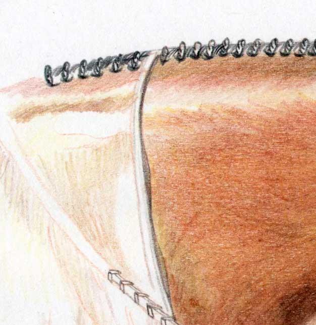 Рисуем голову лошади цветными карандашами - шаг 8