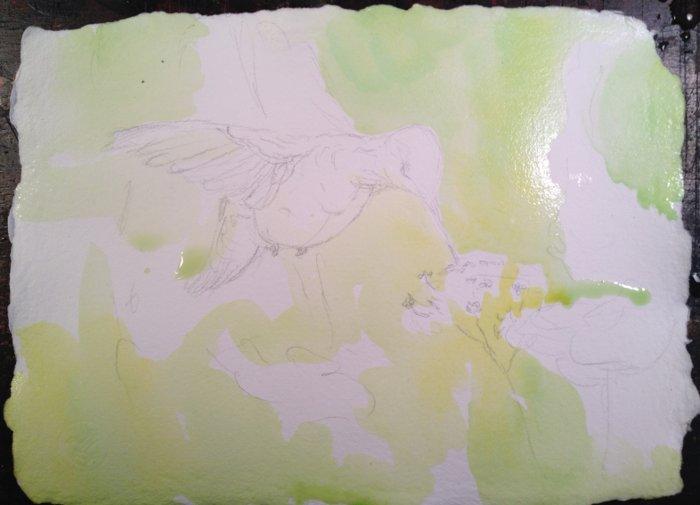 Рисуем колибри на цветах вербены акварелью - шаг 2