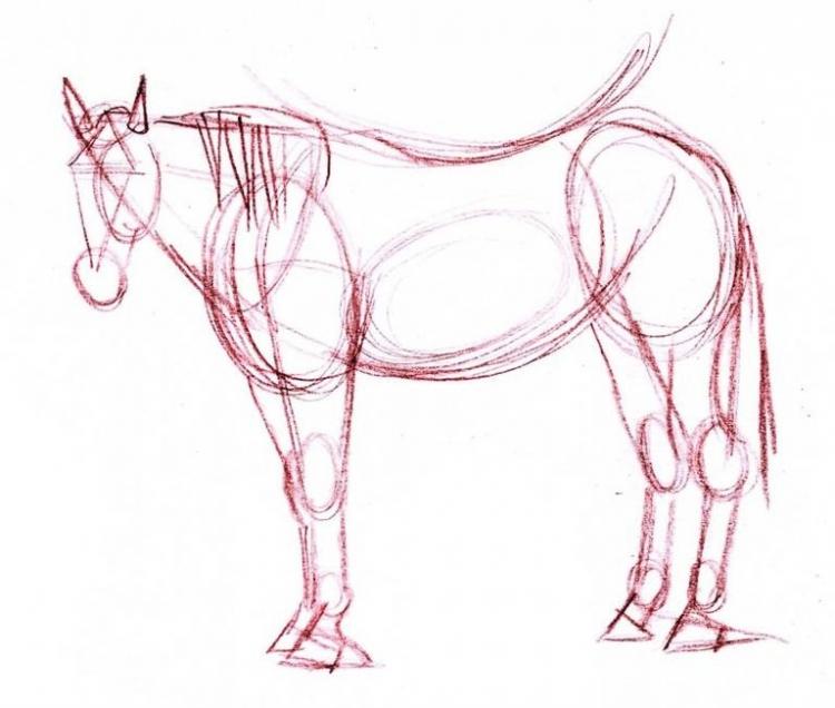 Рисуем лошадь цветными карандашами - шаг 1