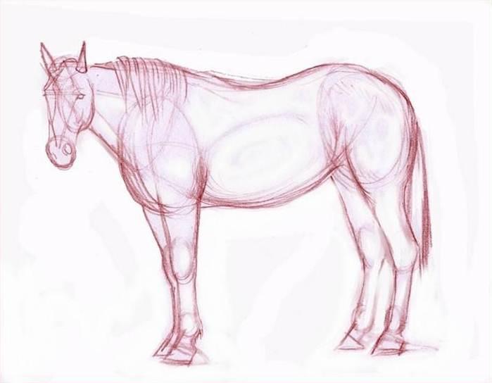 Рисуем лошадь цветными карандашами - шаг 2