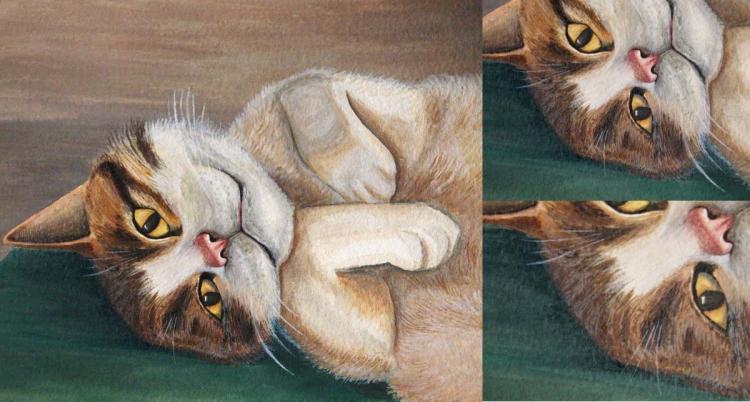 Рисуем кота акварелью - шаг 8