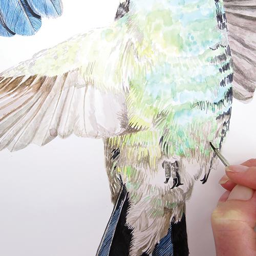 Рисуем колибри акварелью - шаг 10