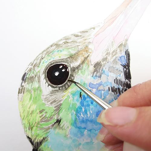 Рисуем колибри акварелью - шаг 12