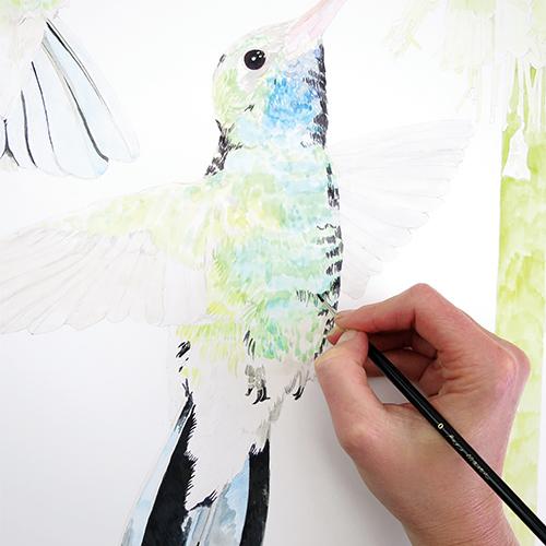 Рисуем колибри акварелью - шаг 6
