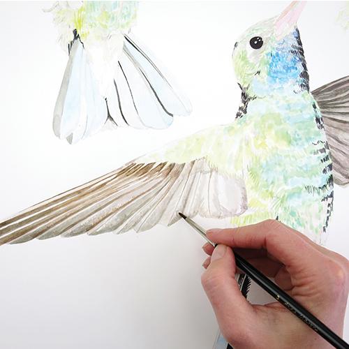 Рисуем колибри акварелью - шаг 8