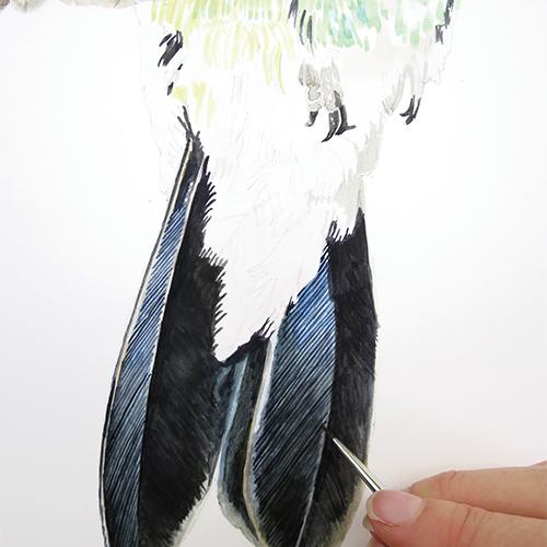 Рисуем колибри акварелью - шаг 9