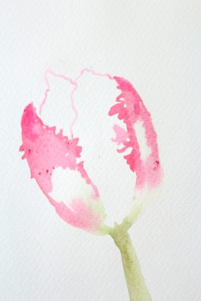 Рисуем тюльпан акварелью - шаг 4