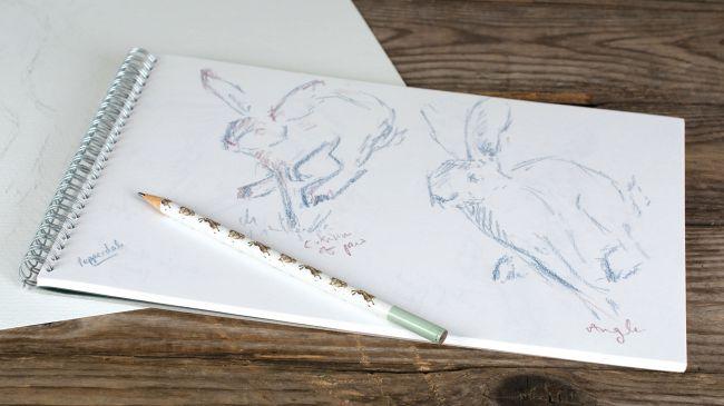 Рисуем зайца акварелью - шаг 1