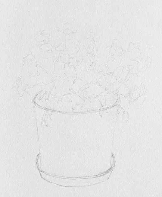 Рисуем желтые хризантемы акварелью - шаг 1
