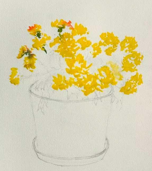Рисуем желтые хризантемы акварелью - шаг 2