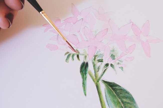 Рисуем цветы акварелью и цветными карандашами - шаг 11