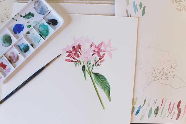 Рисуем цветы акварелью и цветными карандашами - шаг 13