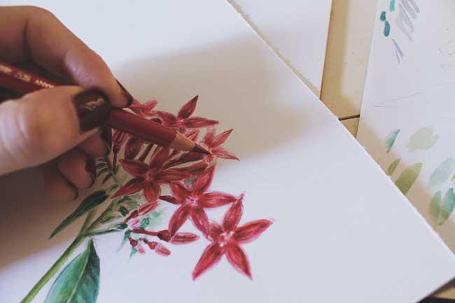 Рисуем цветы акварелью и цветными карандашами - шаг 14