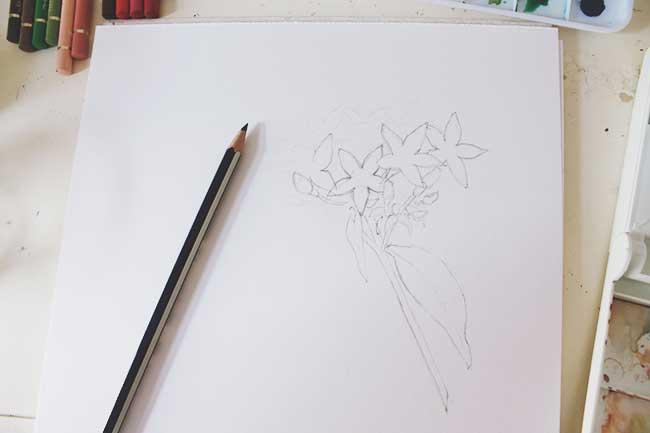Рисуем цветы акварелью и цветными карандашами - шаг 2