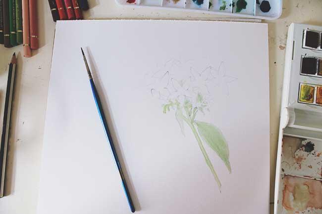 Рисуем цветы акварелью и цветными карандашами - шаг 4