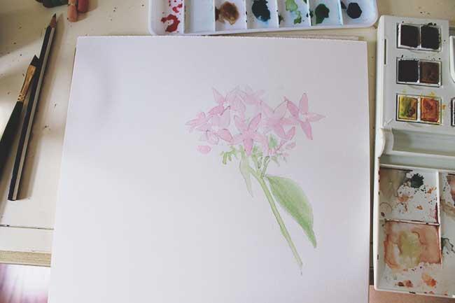 Рисуем цветы акварелью и цветными карандашами - шаг 5