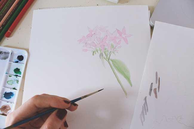 Рисуем цветы акварелью и цветными карандашами - шаг 6