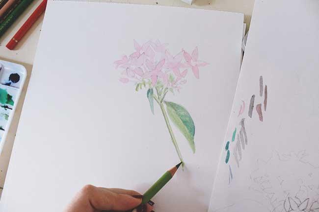 Рисуем цветы акварелью и цветными карандашами - шаг 8