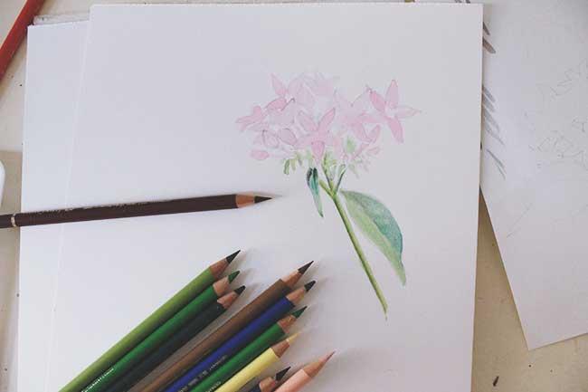 Рисуем цветы акварелью и цветными карандашами - шаг 9