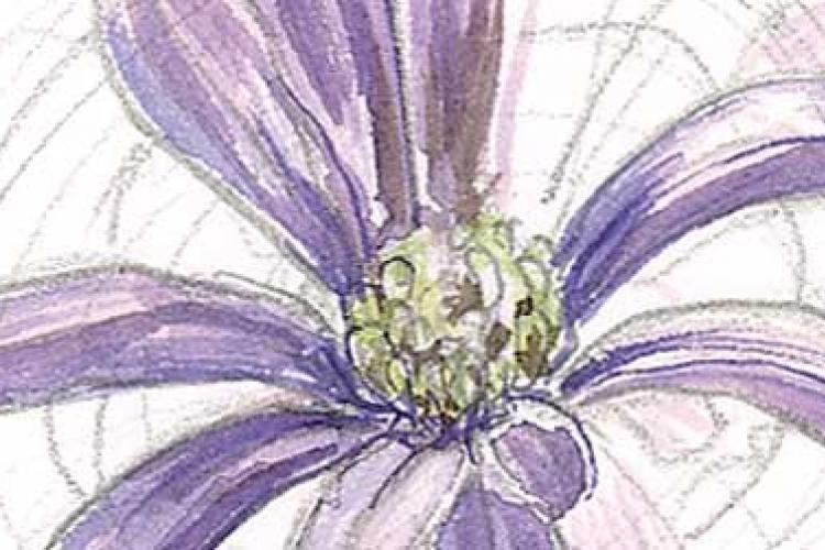 Как рисовать цветы акварелью