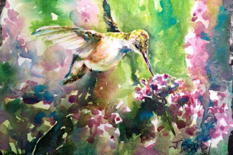 Колибри на цветах вербены - урок акварели