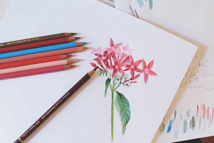 Рисуем цветы акварелью и цветными карандашами пошагово