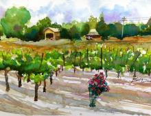 Легкий пейзаж акварелью: Виноградники долины Напа