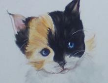 Рисуем котенка акварелью