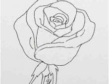 Как нарисовать розу и не заблудиться в лабиринте лепестков