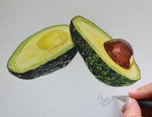 Как реалистично нарисовать авокадо акварелью
