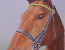 Как нарисовать портрет лошади акварелью