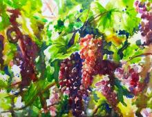 Рисуем виноградную лозу акварелью